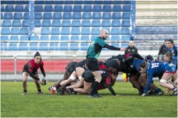 rugby 5